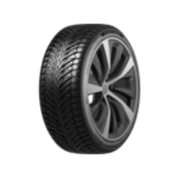 Fortune 205/55R17 95W XL Fitclime FSR-401 TL