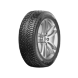 Fortune 205/55R16 94T XL Polaro Ice TL (.)