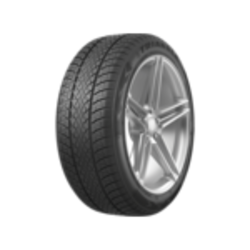 Triangle 205/55R17 95V XL WinterX TW401 TL